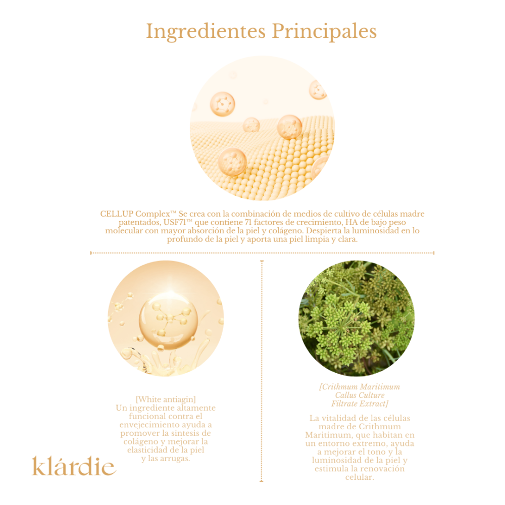 Ingredientes naturales destacados en la fórmula del sérum